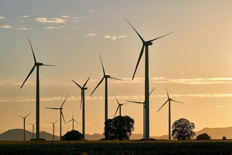 pinwheels, energy, nature, electricity, renewable, wind energy, sunset, wind farm, dusk, trees, landscape